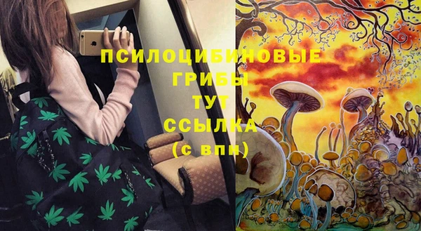 PSILOCYBIN Волоколамск