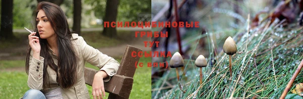 PSILOCYBIN Волоколамск